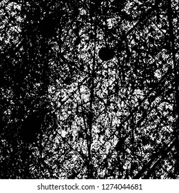 Vector grunge overlay texture. Black and white background. Abstract monochrome image includes a faded effect in dark tones