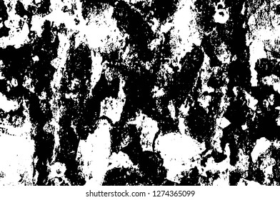 Vector grunge overlay texture. Black and white background. Abstract monochrome image includes a faded effect in dark tones