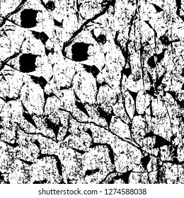 Vector grunge overlay texture. Black and white background. Abstract monochrome image includes a faded effect in dark tones