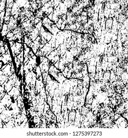 Vector grunge overlay texture. Black and white background. Abstract monochrome image includes a faded effect in dark tones