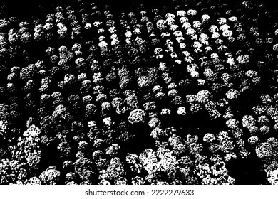 Vector grunge overlay texture. Black and white background