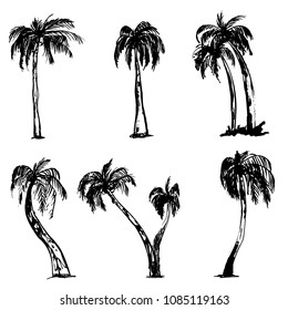 Vector grunge summer palm trees isolated white background. Beautiful summer banner. Tropical set.
