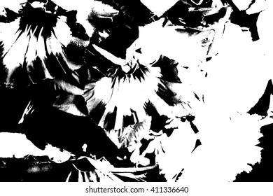 Vector Grunge Texture. Abstract black and white Background