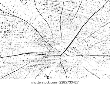 Textura de grunge vectorial de sección transversal de ápice con grietas. Fondo monocromo de un viejo tronco dañado. Plantilla para la superposición de textura, plantilla con un estilo de fondo. Elemento de diseño