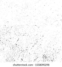 Textura de grifo vectorial. Fondo abstracto en blanco y negro. Eps10