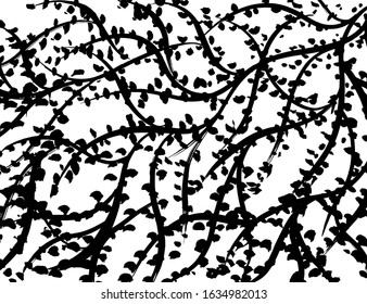 Vector. Grunge texture. Black and white background brush pattern.