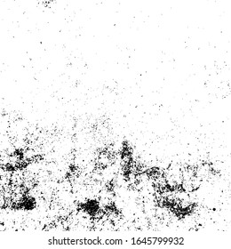 Textura de grifo vectorial. Fondo abstracto en blanco y negro. Eps10