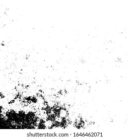 Textura de grifo vectorial. Fondo abstracto en blanco y negro. Eps10
