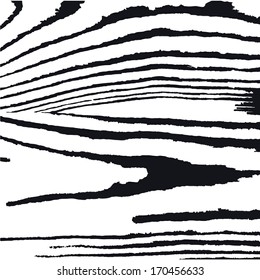 vector  grunge  texture  in black and white