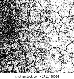 Textura de grifo vectorial. Fondo abstracto en blanco y negro. Eps10