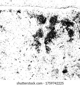 Vector grunge texture. Black and white abstract background. Eps10