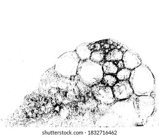 Textura de grunge vectorial en blanco y negro