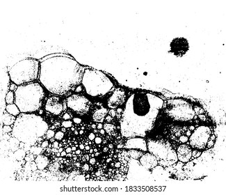 Vector grunge texture in black and white