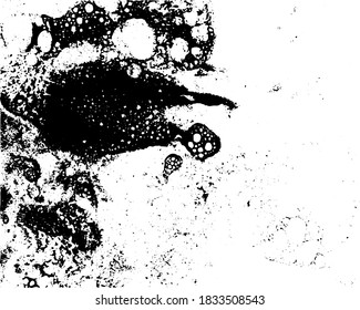 Textura de grunge vectorial en blanco y negro