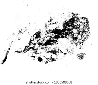 Vector grunge texture in black and white