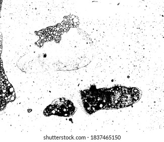 Vector grunge texture in black and white