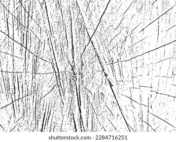 Vector grunge texture of a cross section of a tree with cracks. Monochrome background of an old damaged log. Template for texture overlay, stencil in grunge style. Design element