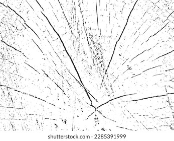 Textura de grunge vectorial de una sección transversal de un abedul con grietas. Fondo monocromo de un viejo tronco dañado. Plantilla para la superposición de textura, plantilla con un estilo de fondo. Elemento de diseño