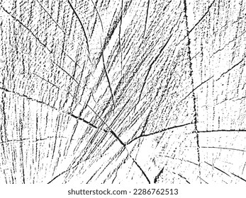 Vector grunge texture of larch tree cross-section. Monochrome background of old sawn log with cracks. Template for overlay, stencil. Design element. Raw, natural, unique. Use for vintage, rustic