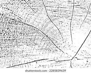 Textura de grunge vectorial de una sección transversal de arce con grietas. Fondo monocromo de un viejo tronco dañado. Plantilla para la superposición de textura, plantilla con un estilo de fondo. Elemento de diseño