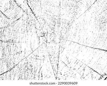 Textura de grunge vectorial de la sección transversal de arce con grietas en el fondo del tronco de aserrado monocromo. Ideal para las superposiciones de textura, los esténciles y la adición de un toque orgánico y crudo a los diseños