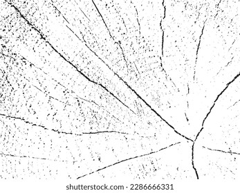 Vector grunge texture of a rowan cross-section. Monochrome background of an old sawn log with cracks. Template for overlay or stencil. A design element that is raw, natural and unique