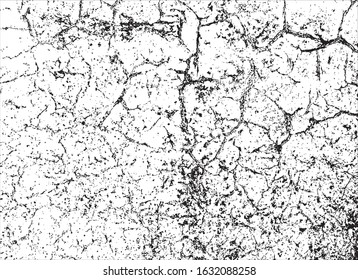 vector grunge texture.black and white background