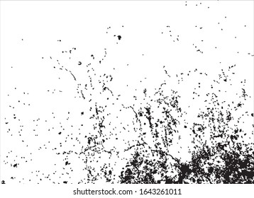 textura de grifo vectorial.fondo negro y blanco