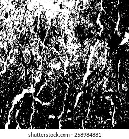 vector of grunge vintage background black and white
