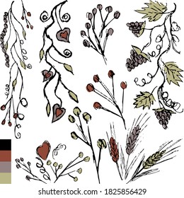 Vector grunge vintage set of floral decorative elements for design. Simple freehand drawings of twigs, spirals, spikelets, hearts, vine with leaves and berries, etc.