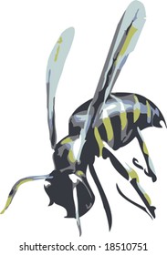 Vector grungy image of a yellow jacket wasp