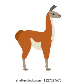Vector guanaco in flat style. Cute and simple cartoon lama. 