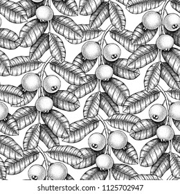 Vector Guava background. Tropical  hand drawn illustration of mirtle plant. Engraved botanical sketch. Vintage Exotic fruit seamless pattern.