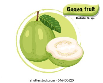 Vector Guava Fruit Isolated On Color Background,illustrator 10 Eps