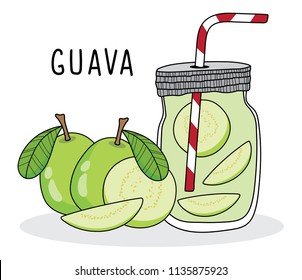 Guava Fruit Stock Vectors, Images & Vector Art | Shutterstock