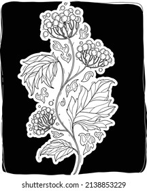 Vector guelder rose black   white line art
