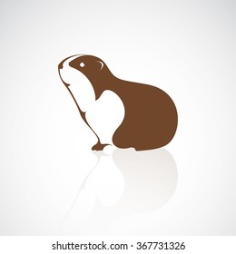 Vector of a guinea design on white background. Animal. Pet. Easy editable layered vector illustration.