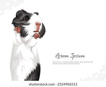 Vector Guinea Pig animal breed. wall decor ideas Portrait. realistic animal images. Hand drawn animal isolated. for room decoration, events, etc