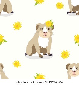 
Vector guinea pigs seamless pattern. Lovely pets, rodents. Design for printing on textiles, paper, packaging, wallpaper.