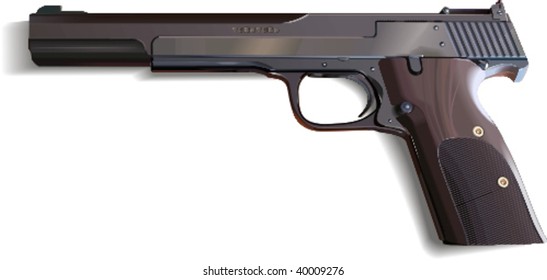 Vector gun, vector illustration