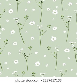 vector  gypsophila flowers on branches , baby's breath  flowers  ,  small white flowers  on green background  , seamless pattern 