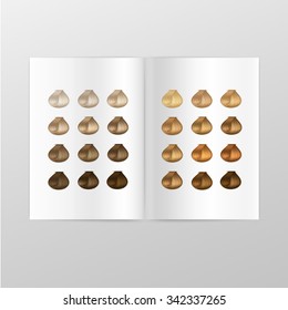 Vector Hair Color Palette Catalog Isolated on White Background