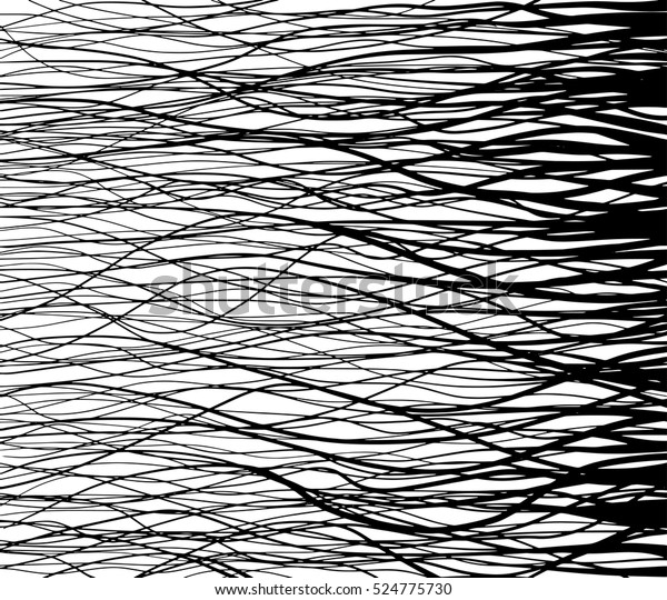 Vector Hair Contour Hair Strand Hair Stock Vector Royalty Free