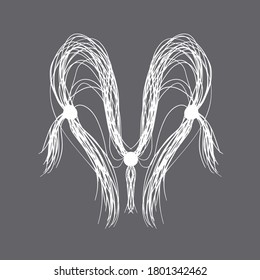 Vector hair drawn with a tablet, part of the design in the theme of hairdressers.