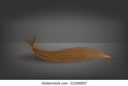 vector hair on gray background. Eps 10