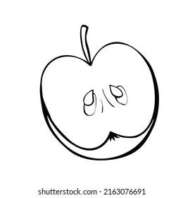 Vector half of an apple. Contour of cut fruit. Outline hand drawn illustration, clipart, design element in doodle style, isolated