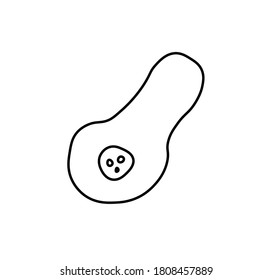 Vector half of gourd with a black line. Simple food and cooking illustration in doodle style on a white isolated background hand drawn. Design for social networks, web, advertising, banners, menus, recipes.