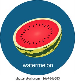 Vector half watermelon icon isolated on white background.  Flat blue circle icon with fruit. Healthy food. 