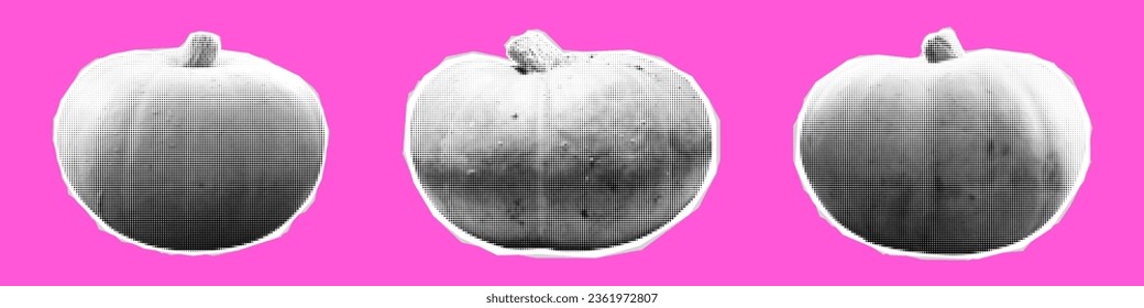 Vector halftone autumn pumpkin set. Illustration of collage halftone pumpkin vegetables. Trendy collection of retro halftone thanksgiving pumpkins on pink background.