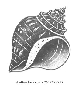 Vector halftone illustration of a detailed seashell in vintage engraving style, perfect for retro designs, marine artwork, antique prints, collage templates, and creative graphic projects